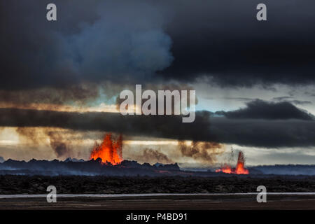 Vulkanausbruch in der Bardarbunga Holuhraun Riss in der Nähe von Vulkan, ISLAND August 29, 2014 ein Riss Eruption in Holuhraun am nördlichen Ende der Magma Intrusion, welche nach Norden verschoben hatte, von der Bardarbunga Vulkan gestartet. Bild Date-Sept. 2, 2014 Stockfoto
