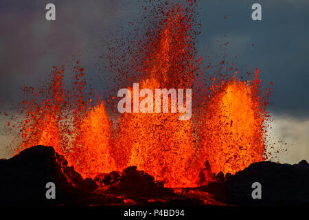 Lavafontänen am Holuhraun Riss Ausbruch in der Nähe von Bardarbunga Vulkan, Island. August 29, 2014 ein Riss Eruption in Holuhraun am nördlichen Ende der Magma Intrusion, welche nach Norden verschoben hatte, von der Bardarbunga Vulkan gestartet. Ist ein stratovulkan Bardarbunga unter dem Vatnajökull, Islands größten Gletscher entfernt. Bild Date-Sept. 2, 2014 Stockfoto