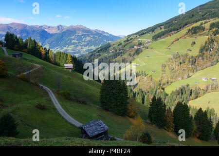 Hainzenberg, Gerlosbach Tal, Alp, Alm, Zillertaler Alpen (Zillertaler Alpen), Scheunen, Zell-Gerlos, Tirol, Österreich Stockfoto