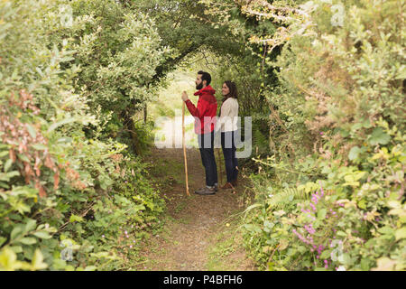 Paar stehen unter Baumkronen Stockfoto