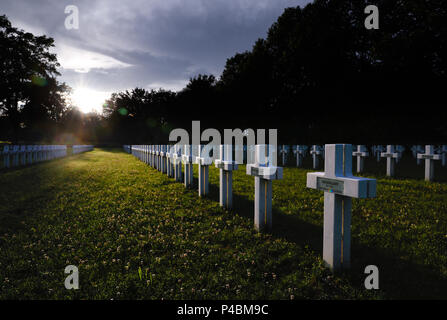 Reihen von Rücken an Rücken doppelte Kreuze in der französischen Nationalen Friedhof (La Nécropole nationale), Jonchery-Sur-Suippe, Champagne, Frankreich. Stockfoto
