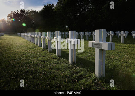 Reihen von Rücken an Rücken doppelte Kreuze in der französischen Nationalen Friedhof (La Nécropole nationale), Jonchery-Sur-Suippe, Champagne, Frankreich. Stockfoto