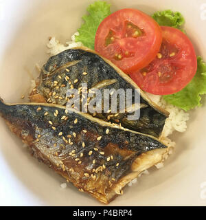 Close up Reis gegrillte saba Teriyaki, japanisches Essen Stil. Stockfoto