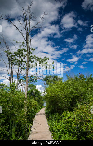 USA, New York, Hudson Valley, New Windsor, Fußweg entlang des Hudson River. Stockfoto