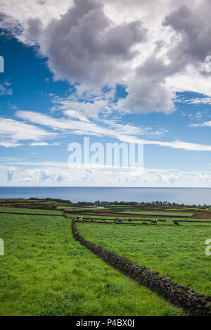 Portugal, Azoren, auf der Insel Terceira, Cabo de Praia, Felder Stockfoto