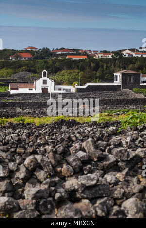 Portugal, Azoren, Insel Pico, Criacao Velha, Dorfkirche Stockfoto