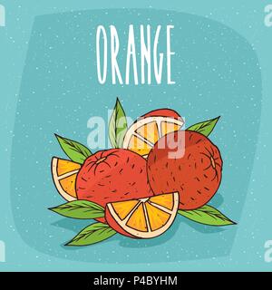 Mehrere reifen Orangen Früchte mit Blättern, ganze und wunderschön in Stücke schneiden. Sichtbar Fleisch. Isolierte blauen Hintergrund. Realistische Hand zeichnen Stil. Le Stock Vektor