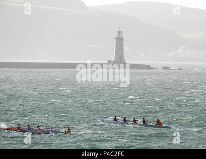 Plymouth, Großbritannien, 2009, 'Coastal Rudern Meisterschaften', 'zwei Coxed Vier, 4 X+, Racing, mit dem "Hafenmauer und Leuchtturm", Samstag, 24.10.2009, © Peter SPURRIER. Stockfoto