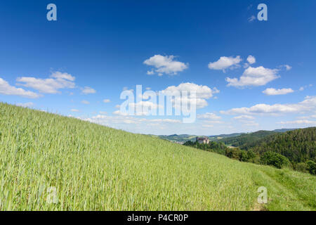 Krumbach, Krumbach Schloss, Bucklige Welt, Wiener Alpen (Alpen), Wien, Lower Austria, Austria Stockfoto