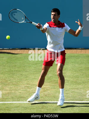 Serbiens Novak Djokovic am vierten Tag der Fever-Tree Championship im Queen's Club, London. DRÜCKEN SIE VERBANDSFOTO. Bilddatum: Donnerstag, 21. Juni 2018. Siehe PA Geschichte TENNIS Queens. Bildnachweis sollte lauten: Steven Paston/PA Wire. . Stockfoto