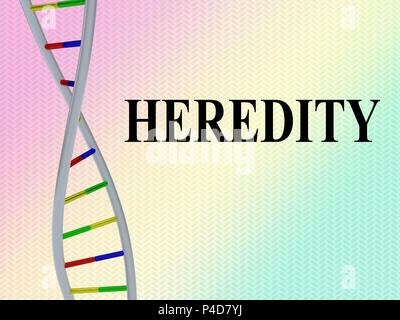 3D-Darstellung der Vererbung script mit DNA-Doppelhelix, auf farbige Muster isoliert. Stockfoto