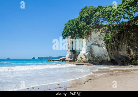 Cathedral Cove in Coromandel Halbinsel auf der Nordinsel von Neuseeland. Stockfoto