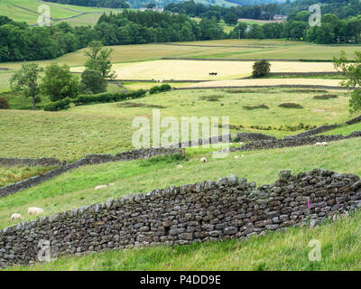 Blick über die NIDDERDALE AONB von wath Road in der Nähe von Pateley Bridge North Yorkshire England Stockfoto