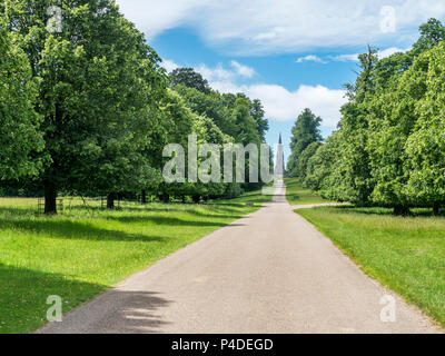 Von Bäumen gesäumten Antrieb bei Studley Park mit der St. Marien Kirche in der Ferne Ripon North Yorkshire England Stockfoto