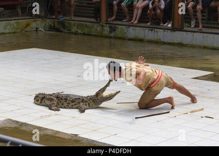 Provinz Surat Thani, Thailand, 12. Februar: Das Krokodil Show am Namuang Safari Park Koh Samui am 12. Februar 2018 in der Provinz SURAT THANI THAILAND Stockfoto