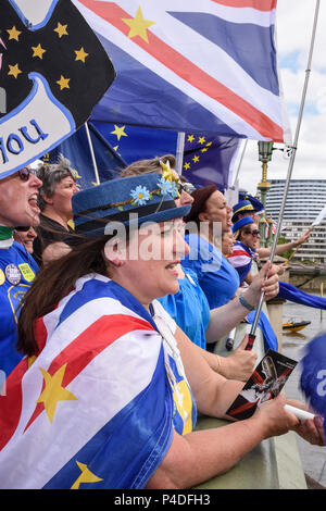 Pro-EU-Befürworter auf die Westminster Bridge zu demonstrieren als MPs Änderungen der Entzug Bill, London, UK 20.06.2018 diskutiert Stockfoto