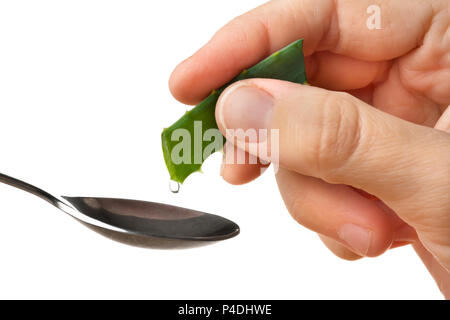 Hand zusammendrücken der Saft der Aloe vera in Löffel auf weißem Hintergrund Stockfoto