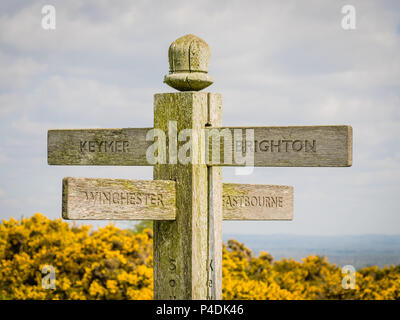 Wegweiser auf dem langen, weit entfernten South Downs Way mit den Wegweisern nach Brighton, Keymer, Eastbourne und Winchester, Großbritannien. Stockfoto