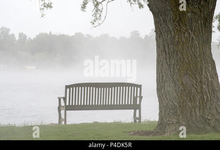 Parkbank im Nebel in einem schönen Michigan USA Park Stockfoto