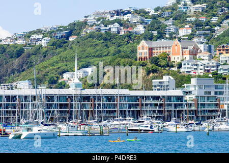 Wellington, Neuseeland - 13. Februar 2016: Kajakfahrer genießen Sie einen Sommertag auf dem Wasser auf den Hafen von Wellington Stockfoto