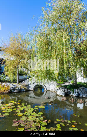 Dunedin, Neuseeland - Mai 3,2016: See des Chinesischen Garten Dunedin in Neuseeland. Stockfoto