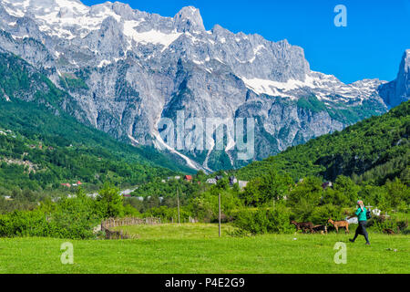 Schäferin guiding Ziegen, Thethi Dorf Thethi Tal, Albanien Stockfoto