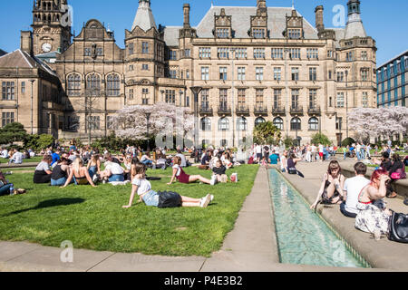 Menschen entspannend und das Sitzen auf dem Gras an der Peace Gardens mit dem Rathaus im Hintergrund, Sheffield, England, Großbritannien Stockfoto