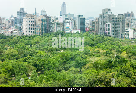 Daan, Park, grüne, Platz, urban, Grün, Lunge, aktive, Taipei, Taipei City, Taiwan, Stadt, Insel, Republik China, ROC, China, Chinesisch, Taiwanesisch, Asien, Asiatisch, Stockfoto