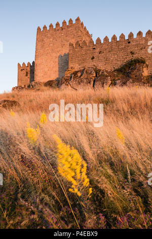 Trancoso schloss in der Dämmerung, Sonnenaufgang. Mit wind flowwers und Gräser auf der Piste zum Schloss Wand geblasen. Stockfoto