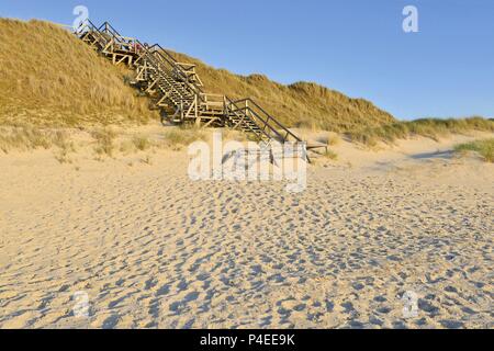 Spuren im Sand vor eine hölzerne Treppe auf eine mit Gras bewachsene Düne in der Nähe von Norddorf auf der Insel Amrum, 11. Mai 2018 | Verwendung weltweit Stockfoto