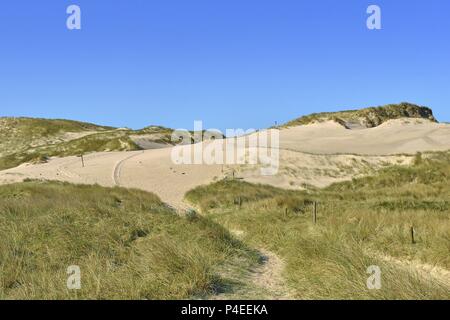 Weg durch große Gras bewachsenen Sanddünen auf der Insel Amrum mit einem offenen Sand Oberfläche und einen Zaun, 11. Mai 2018 | Verwendung weltweit Stockfoto