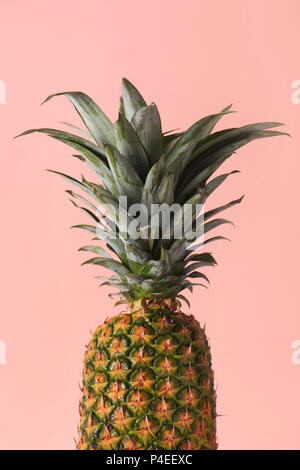Nahaufnahme der eine reife Ananas auf eine blass rosa Hintergrund Stockfoto