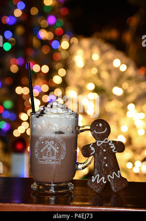 Winter im Grove Park Inn Ashevlile-Gingerbread Haus Wettbewerb Stockfoto