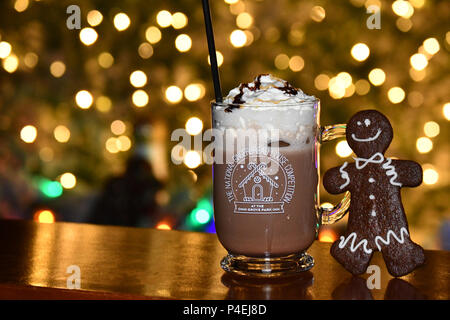 Winter im Grove Park Inn Ashevlile-Gingerbread Haus Wettbewerb Stockfoto