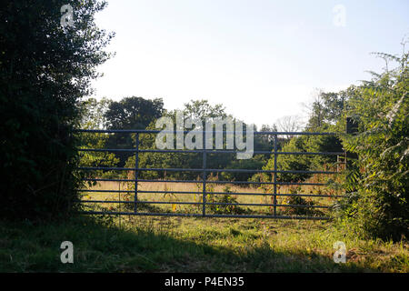 Metall Bauernhof im Sonnenschein Stockfoto