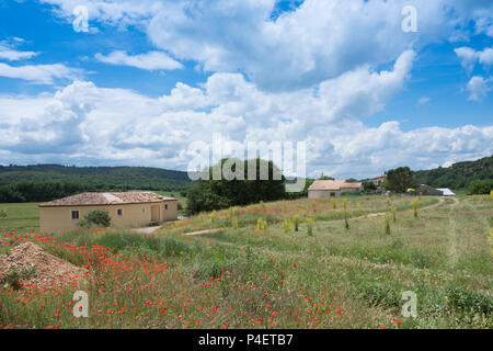 Haus unter blauen Himmel mit Sommer Blumen im Vordergrund in der Nähe von Aix-en-Provence Stockfoto