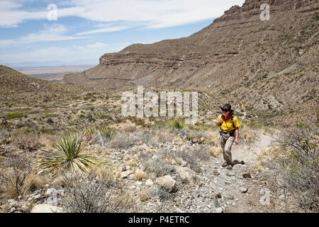 Frau zu Fuß auf den Weg nach oben schauender Hund Canyon, New Mexico, USA Stockfoto