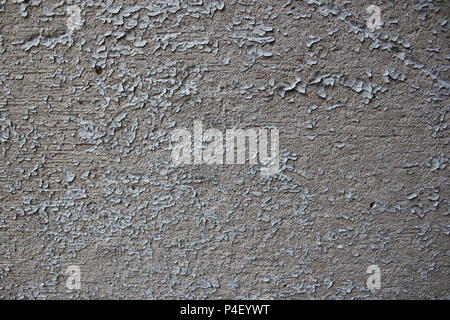 Grau Lack Peeling aus einer Betonwand. Stockfoto