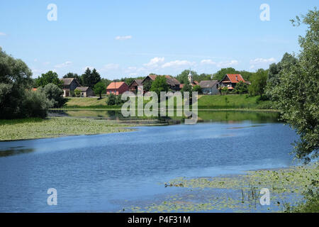 Der Fluss Sava, und das Dorf Muzilovcica, Naturpark Lonjsko Polje, Kroatien Stockfoto