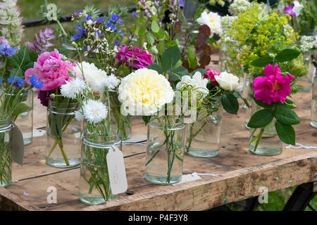 Schnittblumen, die in Gläsern Anzeige an eine Blume zeigen. Großbritannien Stockfoto