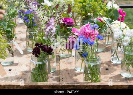 Schnittblumen, die in Gläsern Anzeige an eine Blume zeigen. Großbritannien Stockfoto