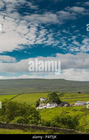 Eine typische Obere Teesdale weiß getünchten Hill Farm am Birke Bush, Ettersgill, North Pennines AONB, UK, mit Kopie Raum Stockfoto