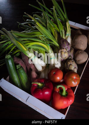 Box mit einer Vielzahl von Bio Gemüse: Kartoffeln, grüne Zwiebeln, Tomaten, rote Paprika, süsse Kartoffeln, Zucchini und Artischocken Stockfoto