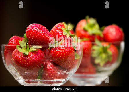 Nahaufnahme von zwei Glas-Dessertgerichten voller frischer saftiger Erdbeeren mit Blättern und Stielen, schwarzer Hintergrund. Obstschale im Innenbereich isoliert. Stockfoto