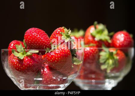 Nahaufnahme von zwei Kristallglas Dessertspeisen voller frischer saftiger Erdbeeren mit Blättern & Stielen, schwarzer Hintergrund. Obstschale im Innenbereich isoliert. Stockfoto