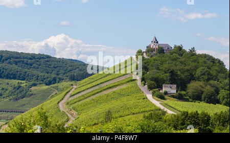 Marienburg auf Prinzenkopf auf der Mosel Deutschland. Stockfoto