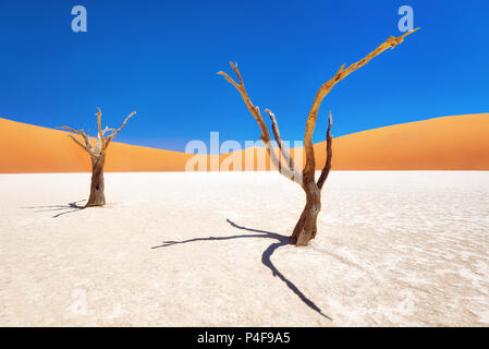 Dead Vlei in der Naukluft National Park, Namibia, im Januar 2018 getroffen Stockfoto