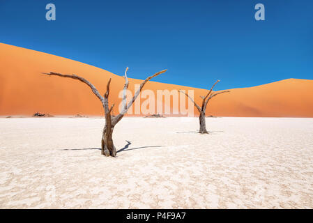 Dead Vlei in der Naukluft National Park, Namibia, im Januar 2018 getroffen Stockfoto