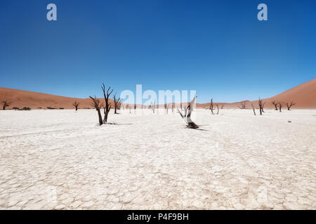 Dead Vlei in der Naukluft National Park, Namibia, im Januar 2018 getroffen Stockfoto