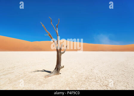 Dead Vlei in der Naukluft National Park, Namibia, im Januar 2018 getroffen Stockfoto